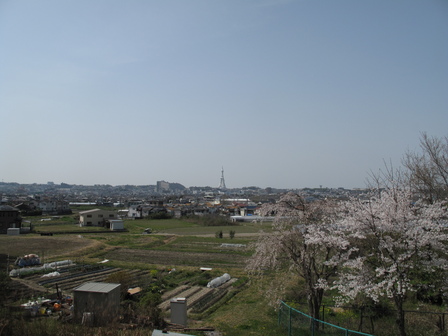 遠くにPLの塔が見える、桜の咲く風景