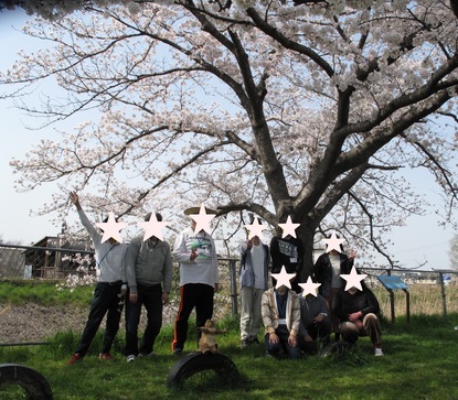 桜の木の下での集合写真