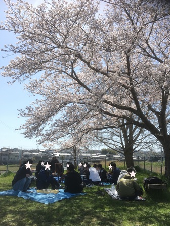 桜の木の下で会食