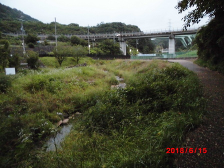 小川沿いの小道。遠くに谷を渡る高架の道路が3本見える。