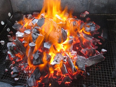 グリルの網の上で炭が炎を上げている。