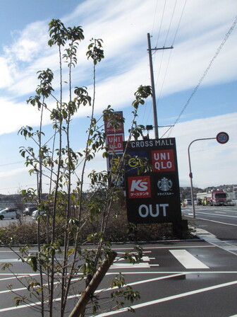 クロスモール富田林駐車場出口付近。クロスモール富田林とそのテナント(GU・ユニクロ・ケーズデンキ・スターバックスコーヒー)が記された看板。