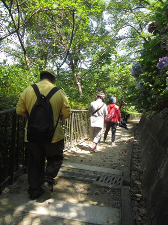 寺ヶ池周辺の遊歩道の木陰を3人の参加者が歩いている。