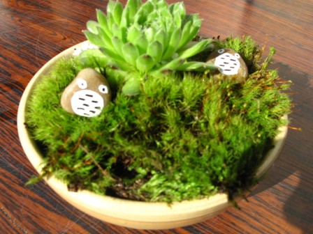 白い丸鉢に、ヤネバンダイソウ・苔とト◯ロ風に彩色した小石「トロちゃん」の寄せ植え